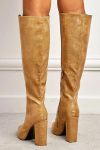 Solid-Color-Pointed-Toe-Knee-High-Boots-3