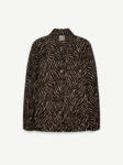 Bomber-Sarah-zebre-10-950081