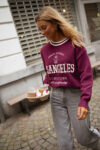 Pull-Diego-bordeaux-21-249582